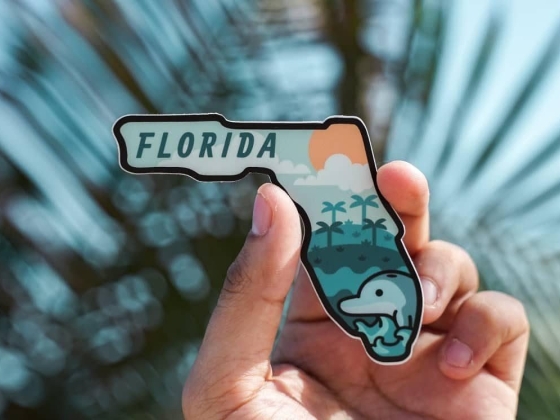 Discover the Top 10 Best Destinations to Visit in Florida