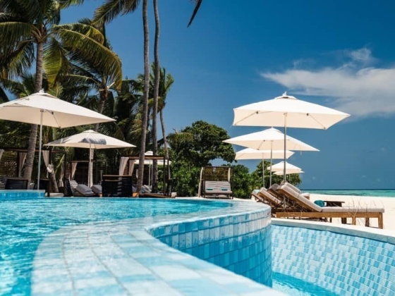 Top 10 Budget-Friendly and Luxury Hotels in Key West