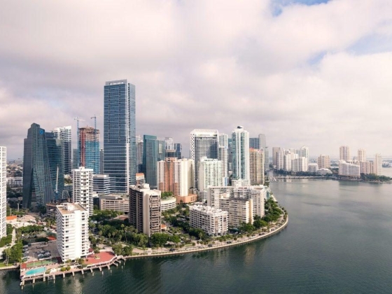 The Top 10 Things to Do in Miami